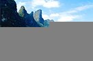 金梓集团